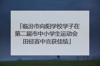 临汾市向阳学校学子在第二届市中小学生运动会田径赛中喜获佳绩