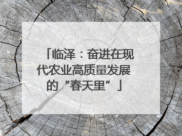 临泽：奋进在现代农业高质量发展的“春天里”