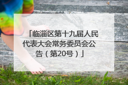 临淄区第十九届人民代表大会常务委员会公告（第20号）