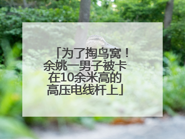 为了掏鸟窝！余姚一男子被卡在10余米高的高压电线杆上