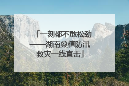 一刻都不敢松劲——湖南桑植防汛救灾一线直击