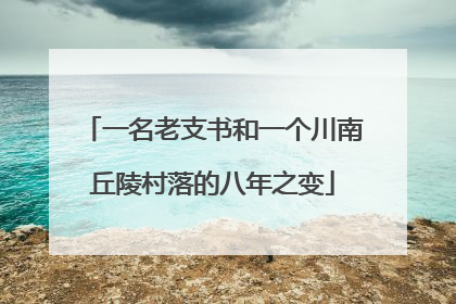 一名老支书和一个川南丘陵村落的八年之变