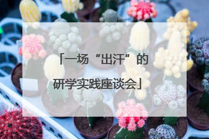 一场“出汗”的研学实践座谈会