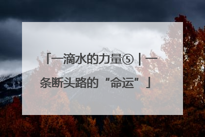一滴水的力量⑤｜一条断头路的“命运”