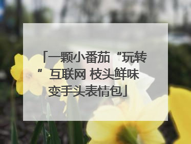 一颗小番茄“玩转”互联网 枝头鲜味变手头表情包