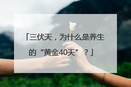 三伏天，为什么是养生的“黄金40天”？