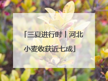 三夏进行时丨河北小麦收获近七成