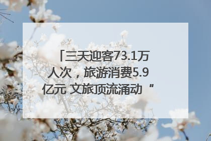 三天迎客73.1万人次，旅游消费5.9亿元 文旅顶流涌动“江宁style”