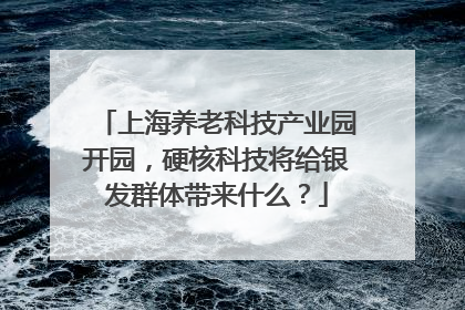 上海养老科技产业园开园，硬核科技将给银发群体带来什么？