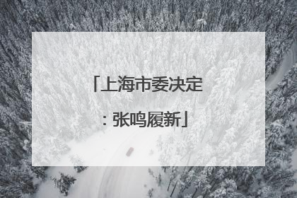 上海市委决定：张鸣履新