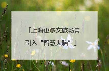上海更多文旅场景引入“智慧大脑”