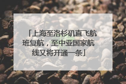 上海至洛杉矶直飞航班复航，至中亚国家航线又将开通一条
