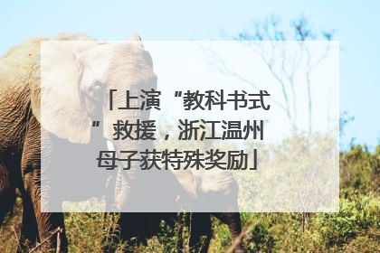 上演“教科书式”救援，浙江温州母子获特殊奖励