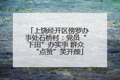 上饶经开区傍罗办事处石桥村：党员“下田”办实事 群众“点赞”笑开颜