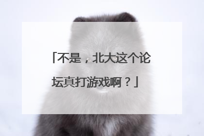 不是,北大这个论坛真打游戏啊?