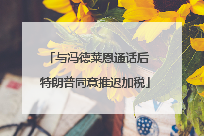 与冯德莱恩通话后 特朗普同意推迟加税