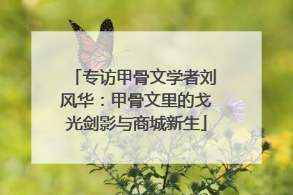 专访甲骨文学者刘风华：甲骨文里的戈光剑影与商城新生