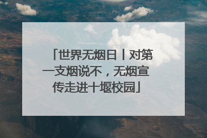 世界无烟日丨对第一支烟说不，无烟宣传走进十堰校园