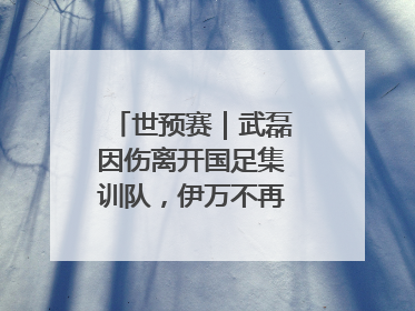 世预赛｜武磊因伤离开国足集训队，伊万不再补招顶替球员
