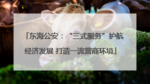 东海公安：“三式服务”护航经济发展 打造一流营商环境