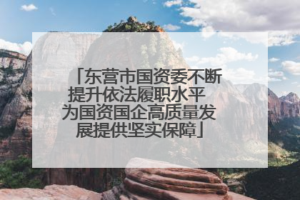 东营市国资委不断提升依法履职水平 为国资国企高质量发展提供坚实保障