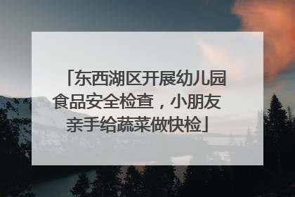 东西湖区开展幼儿园食品安全检查，小朋友亲手给蔬菜做快检