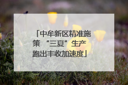 中牟新区精准施策 “三夏”生产跑出丰收加速度