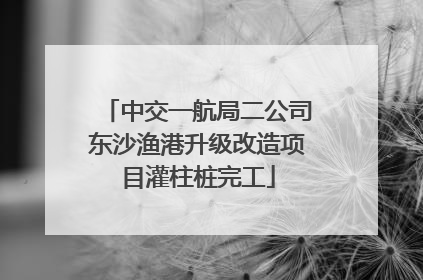中交一航局二公司东沙渔港升级改造项目灌柱桩完工