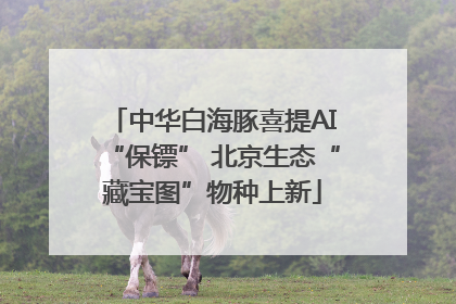 中华白海豚喜提AI“保镖” 北京生态“藏宝图”物种上新