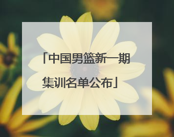 中国男篮新一期集训名单公布