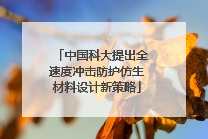 中国科大提出全速度冲击防护仿生材料设计新策略