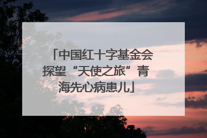中国红十字基金会探望“天使之旅”青海先心病患儿
