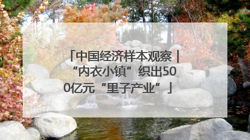 中国经济样本观察｜“内衣小镇”织出500亿元“里子产业”