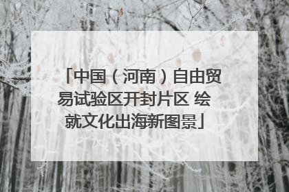 中国（河南）自由贸易试验区开封片区 绘就文化出海新图景
