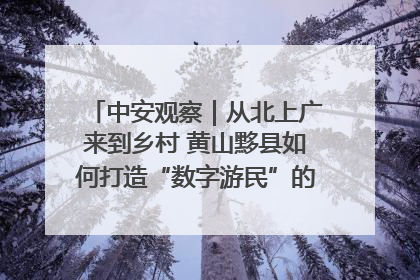 中安观察｜从北上广来到乡村 黄山黟县如何打造“数字游民”的“桃花源”？