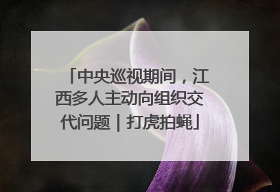 中央巡视期间，江西多人主动向组织交代问题｜打虎拍蝇