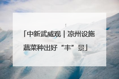 中新武威观｜凉州设施蔬菜种出好“丰”景