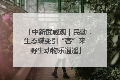 中新武威观｜民勤：生态蝶变引“客”来 野生动物乐逍遥