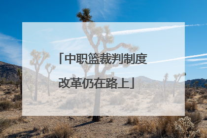 中职篮裁判制度改革仍在路上