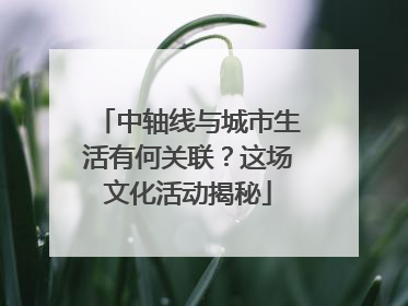 中轴线与城市生活有何关联？这场文化活动揭秘