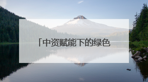 中资赋能下的绿色发展先锋，麦当劳铸就绿色餐厅网络