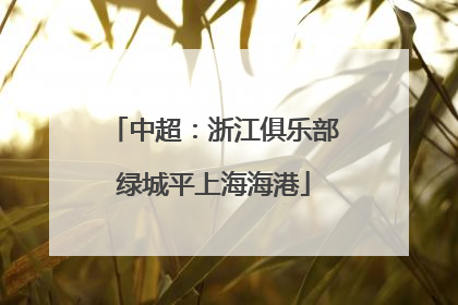 中超：浙江俱乐部绿城平上海海港