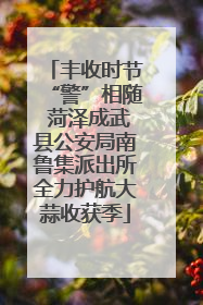 丰收时节“警”相随 菏泽成武县公安局南鲁集派出所全力护航大蒜收获季
