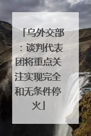 乌外交部：谈判代表团将重点关注实现完全和无条件停火