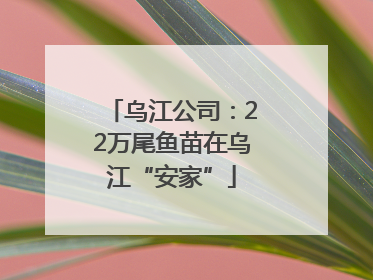 乌江公司：22万尾鱼苗在乌江“安家”