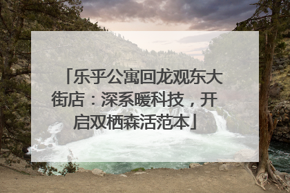 乐乎公寓回龙观东大街店：深系暖科技，开启双栖森活范本