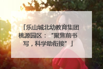 乐山城北幼教育集团桃源园区：“聚焦前书写，科学助衔接”