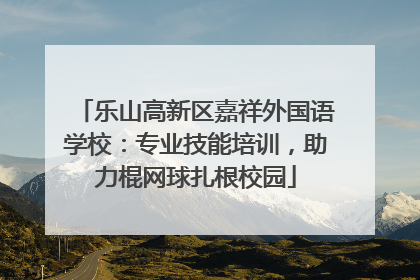 乐山高新区嘉祥外国语学校：专业技能培训，助力棍网球扎根校园