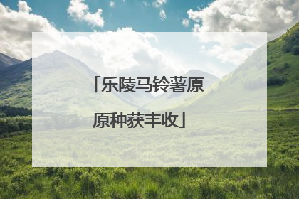 乐陵马铃薯原原种获丰收