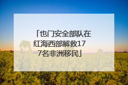 也门安全部队在红海西部解救177名非洲移民
